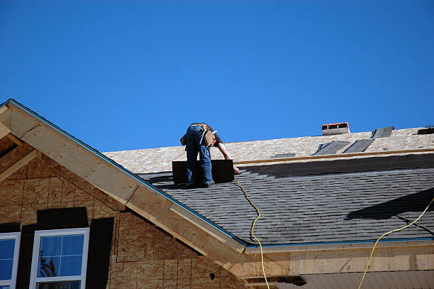 Best Roof Moss and Algae Removal  in Bainbridge, GA