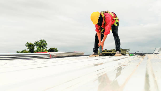 Best Roof Ventilation Installation  in Bainbridge, GA