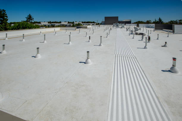 Best Roof Insulation Installation  in Bainbridge, GA